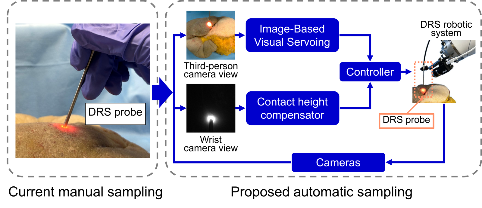 Automatic Robotic-Assisted Diffuse Reflectance Spectroscopy Scanning System representative figure