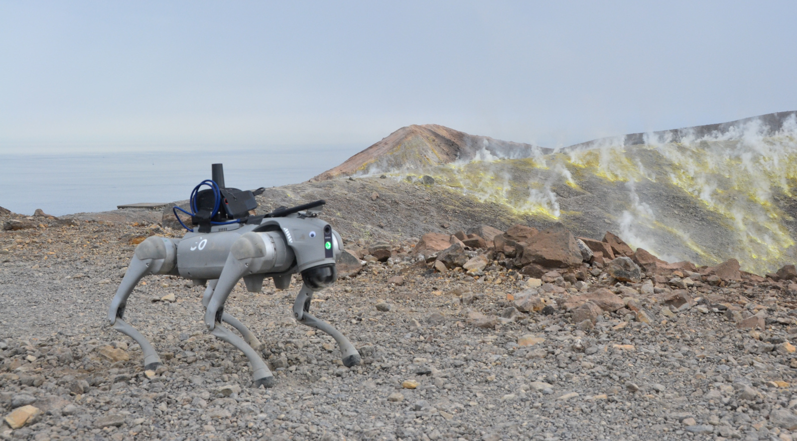 Benchmarking Different QP Formulations and Solvers for Dynamic Quadrupedal Walking representative figure