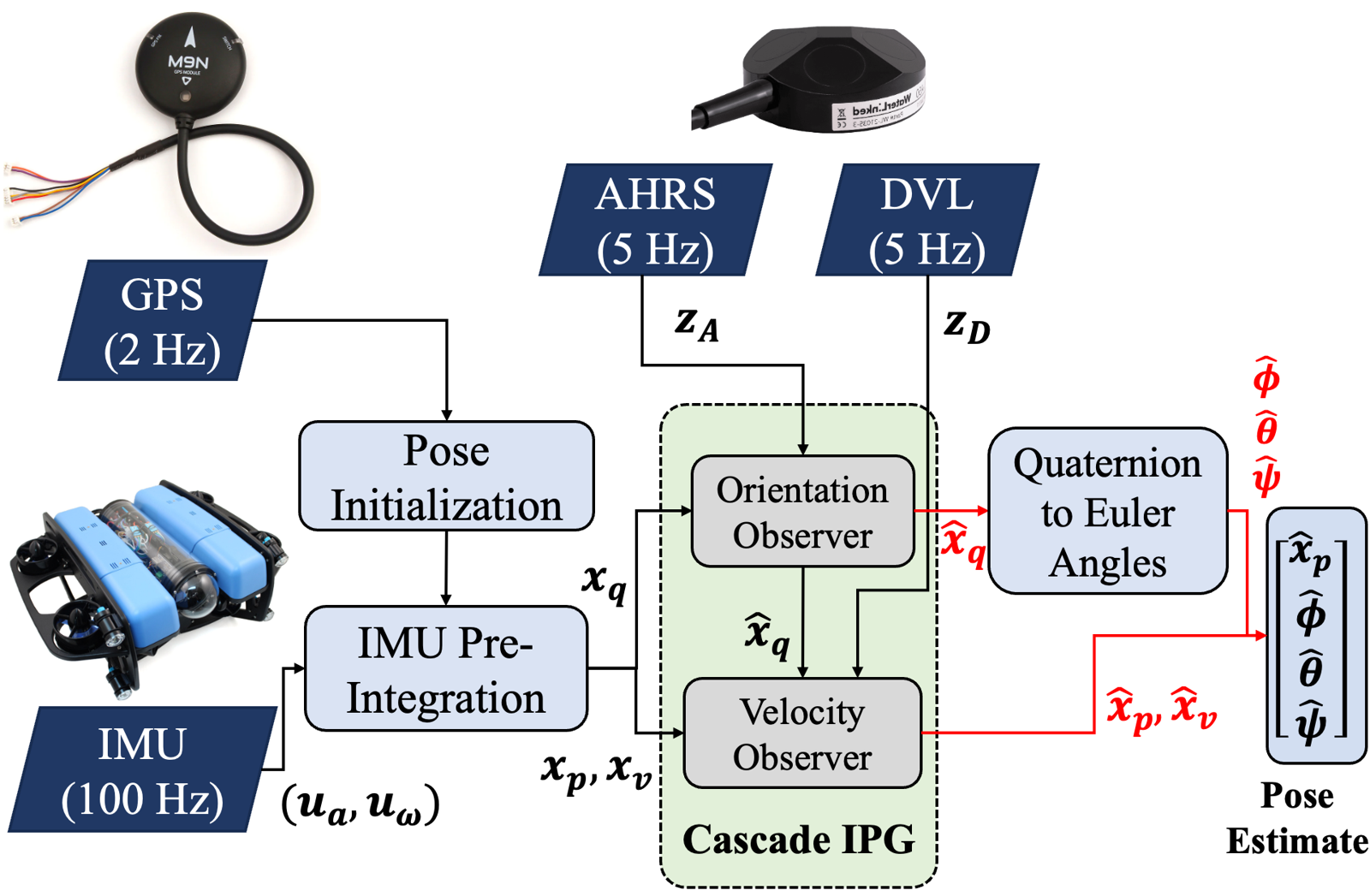 Cascade IPG Observer for Underwater Robot State Estimation representative figure