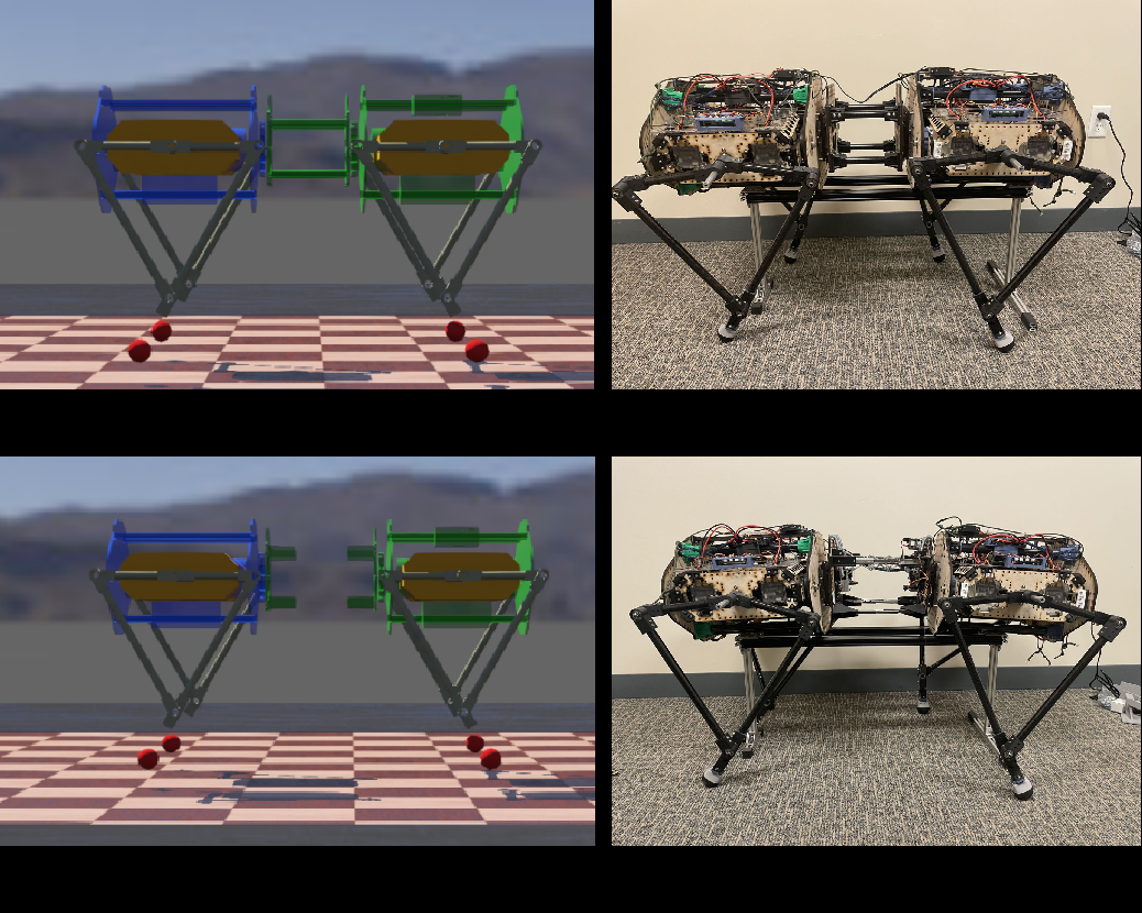 Deformable Multibody Modeling for Model Predictive Control in Legged Locomotion with Embodied Compliance representative figure